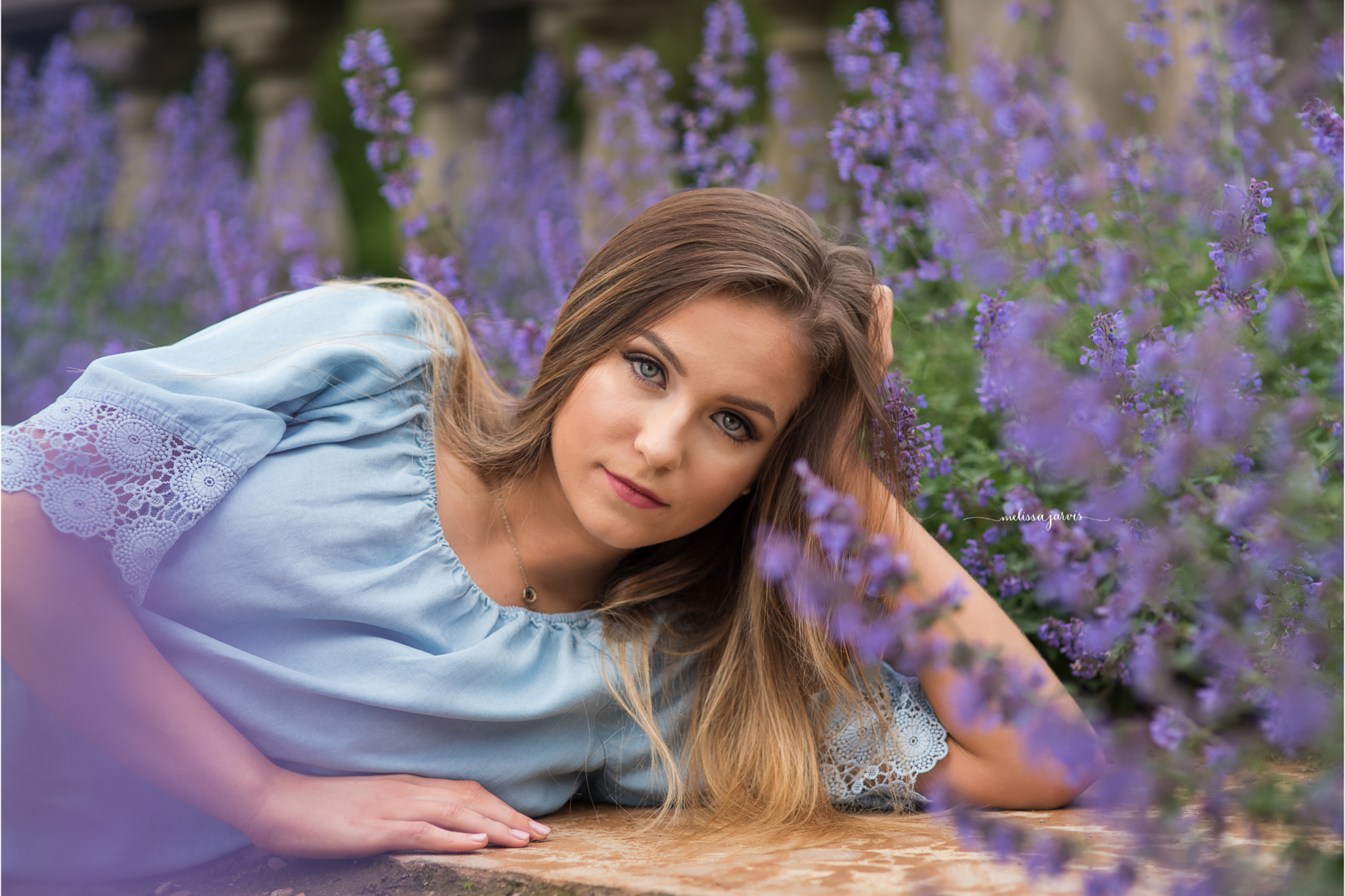 north allegheny high school senior lays in field of purple flowers during her senior picture session with wexford pa photographer