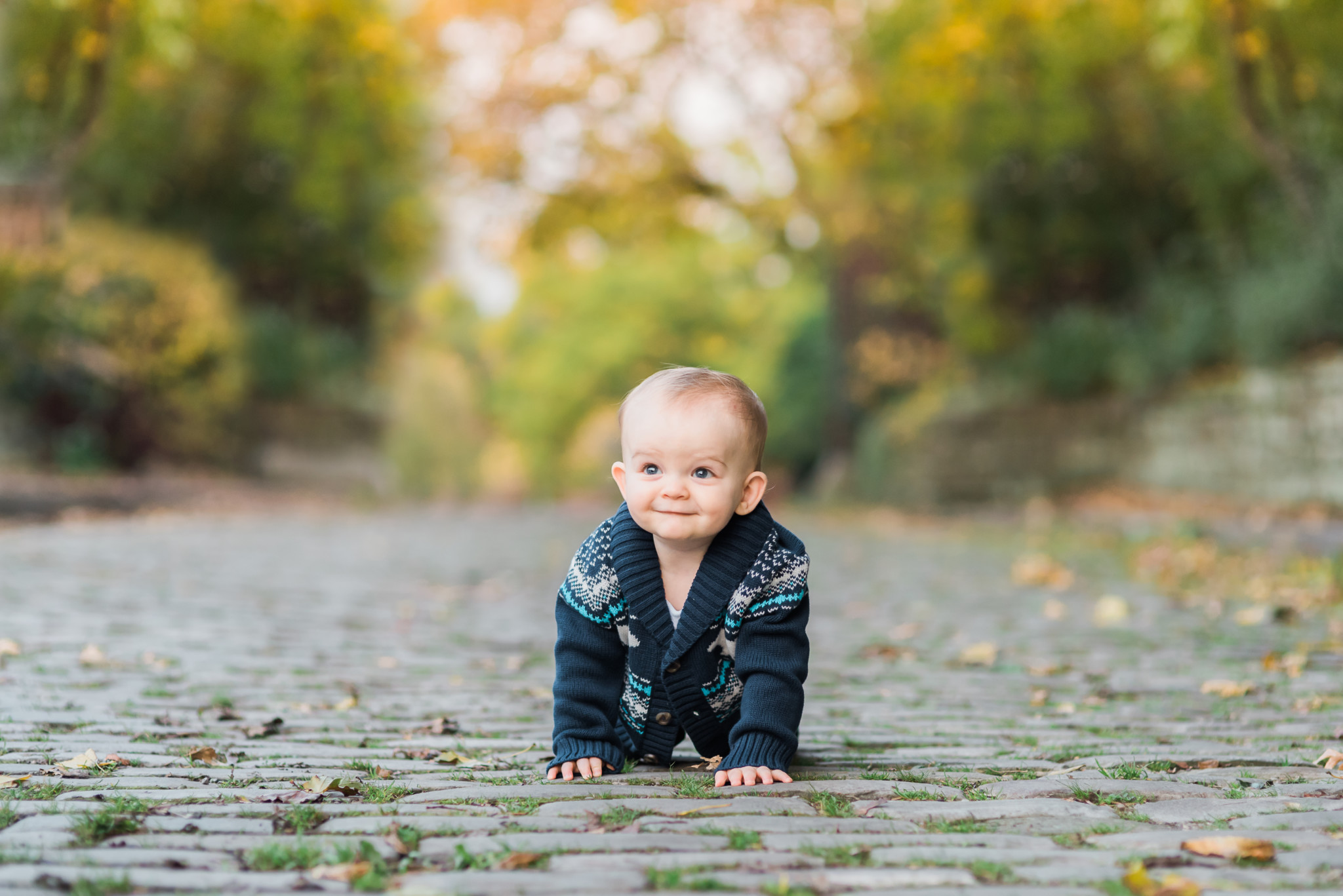 One year old boy smiles as he crawls on a cobblestone street. He wears a navy sweater and green and yellow trees shine in the background for this Pittsburgh family photographer session